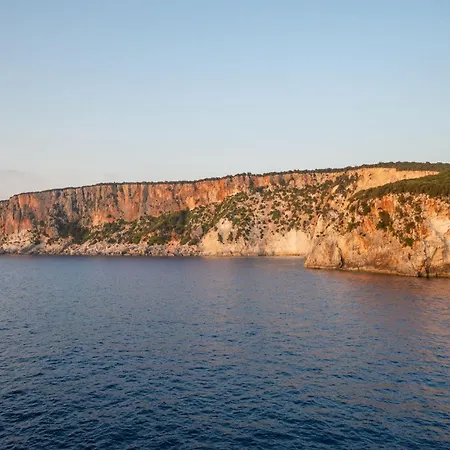 Mandola * Tzamarelata